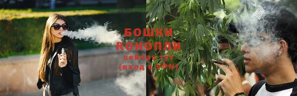 ALPHA PVP Покров