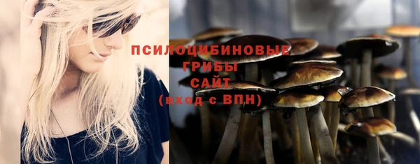 прущие крисы Покачи